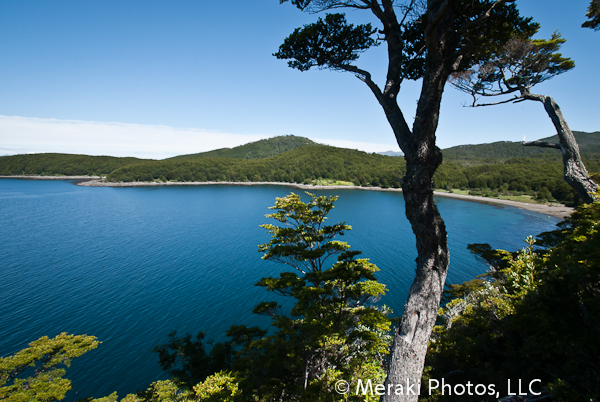 Foto of the Week from … Cabo Froward Trek – The Happy Side