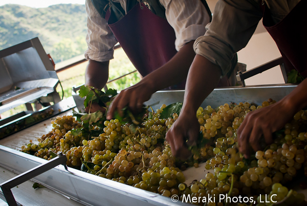 Cafayate:  Wine, Wine, Wine! (part 1)