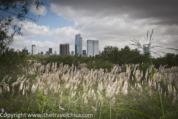 Foto of the Week from … Buenos Aires:  The Ecological Reserve