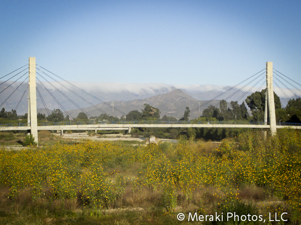Off the Backpacker Trail in Tarija