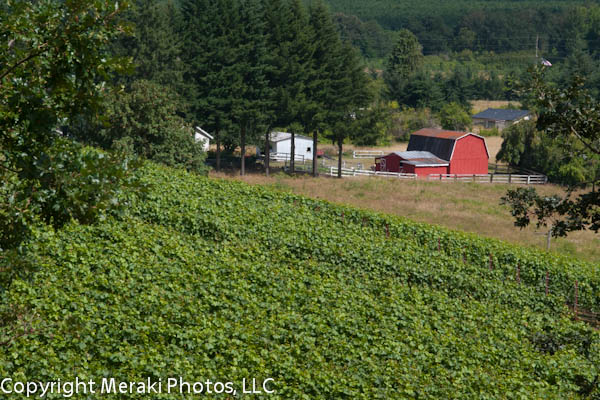 The best view in Willamette Valley?