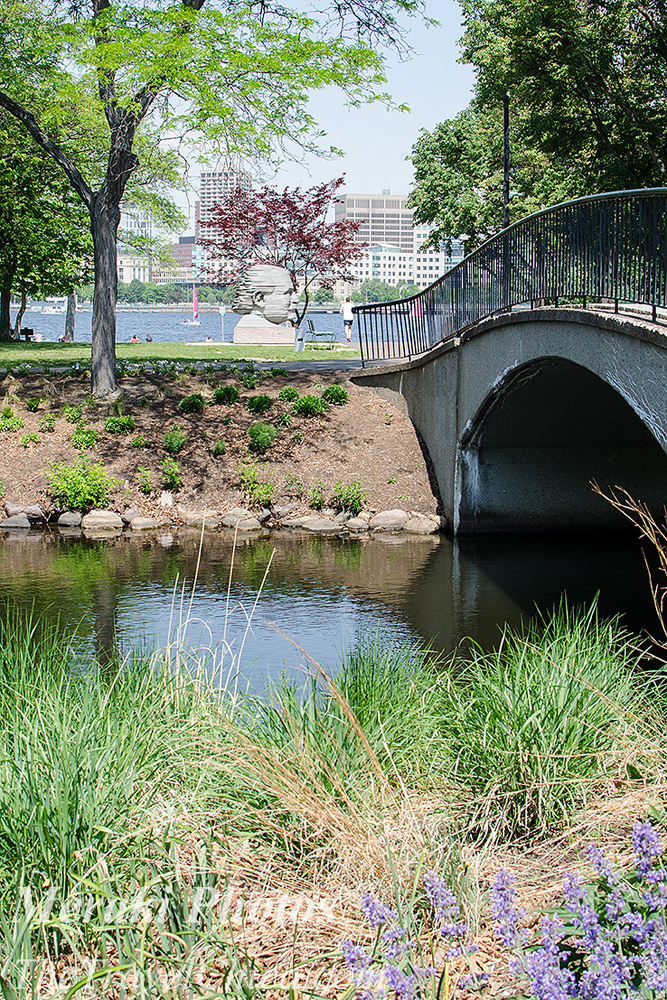 PHOTOS:  Beautiful Boston